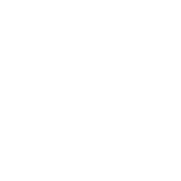 Custom Solutions